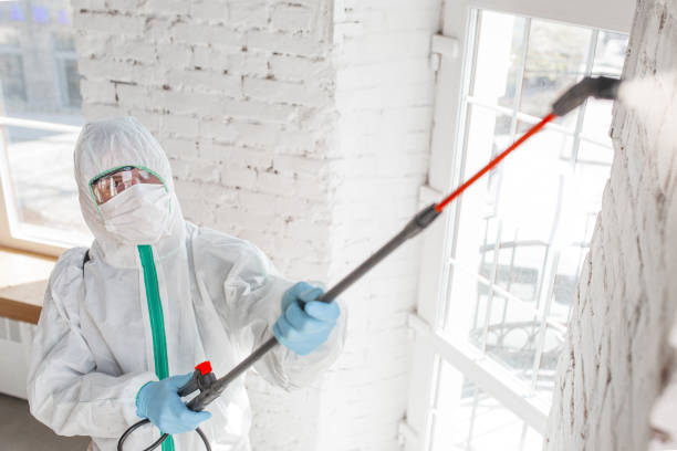 Best Forensic Mold Investigation  in Stromsburg, NE