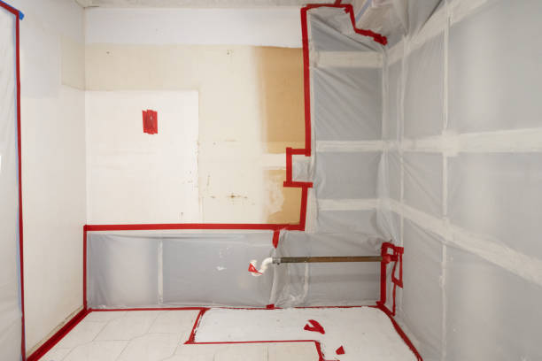 Best Crawl Space Mold Remediation  in Stromsburg, NE